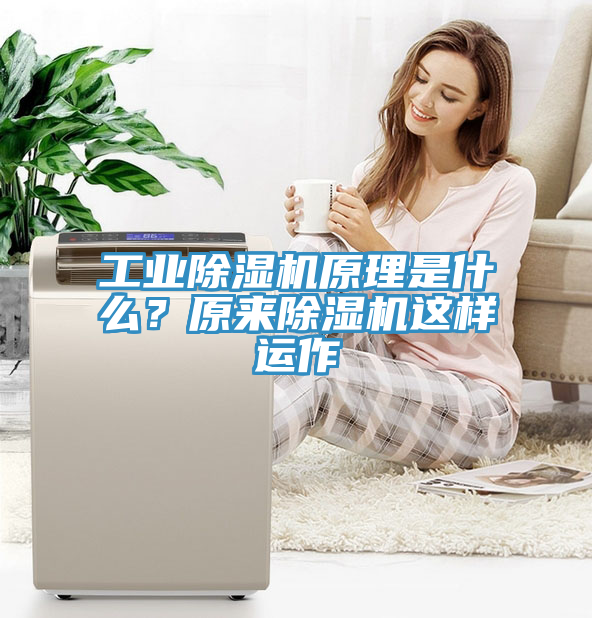 工業蘑菇视频网站原理是什麽？原來蘑菇视频网站這樣運作