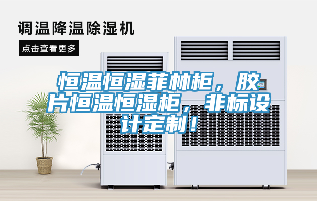 恒溫恒濕菲林櫃，膠片恒溫恒濕櫃，非標設計定製！