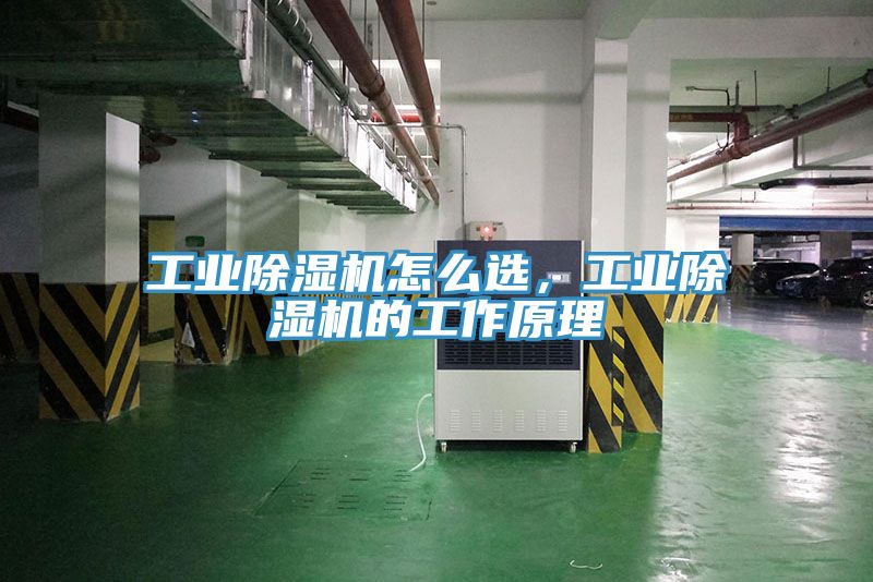 工業蘑菇视频网站怎麽選，工業蘑菇视频网站的工作原理