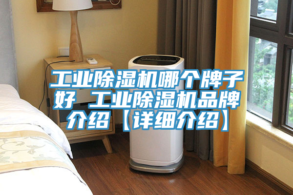 工業蘑菇视频网站哪個牌子好 工業蘑菇视频网站品牌介紹【詳細介紹】