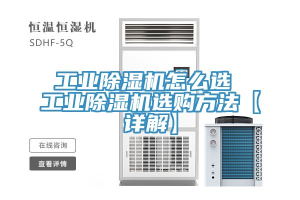 工業蘑菇视频网站怎麽選 工業蘑菇视频网站選購方法【詳解】