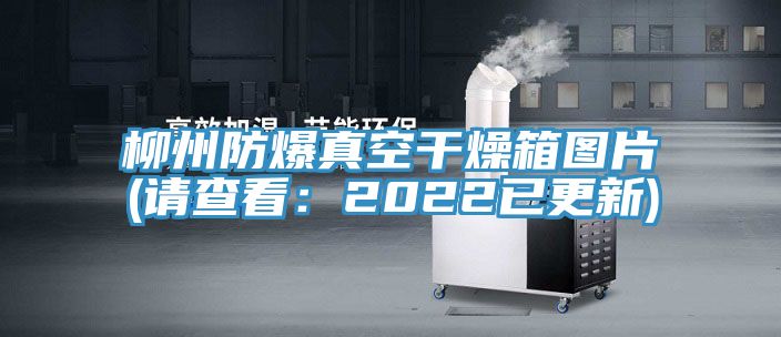 柳州防爆真空幹燥箱圖片(請查看：2022已更新)