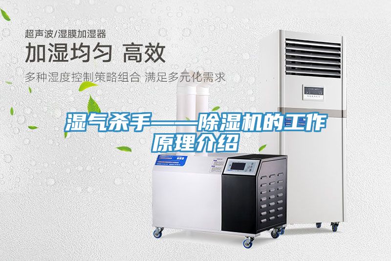 濕氣殺手——蘑菇视频网站的工作原理介紹