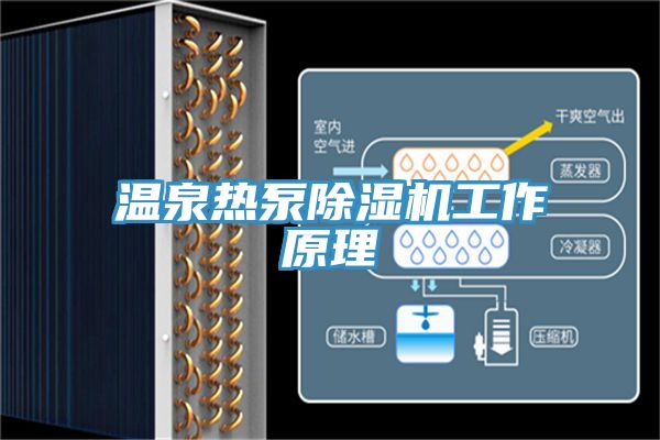 溫泉熱泵蘑菇视频网站工作原理