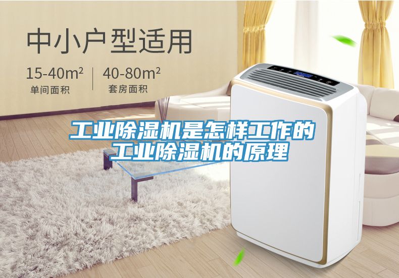工業蘑菇视频网站是怎樣工作的 工業蘑菇视频网站的原理