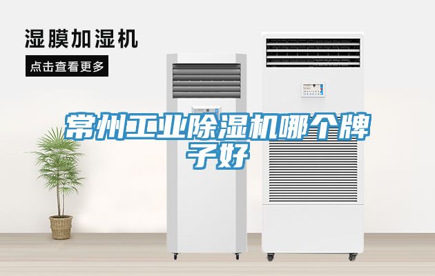 常州工業蘑菇视频网站哪個牌子好