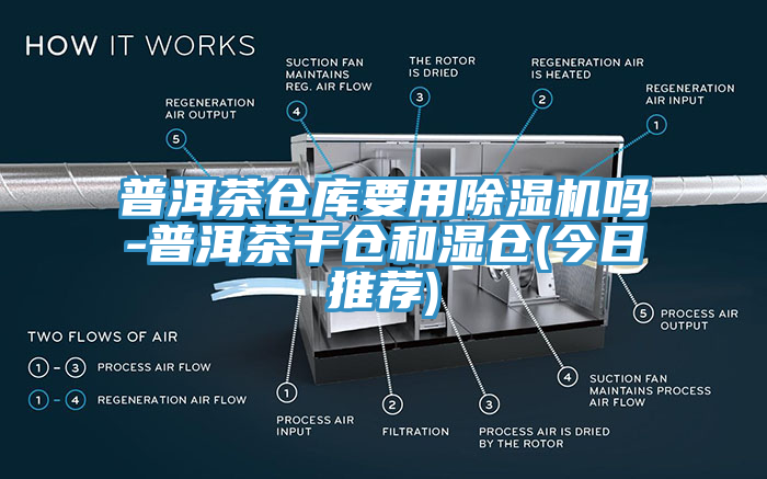 普洱茶倉庫要用蘑菇视频网站嗎-普洱茶幹倉和濕倉(今日推薦)