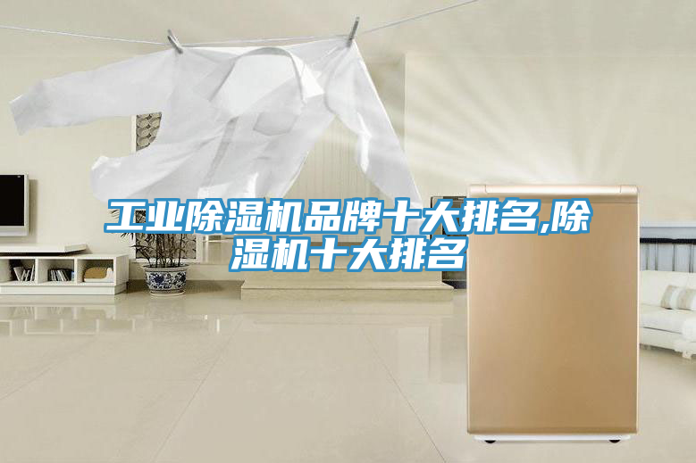 工業蘑菇视频网站品牌十大排名,蘑菇视频网站十大排名