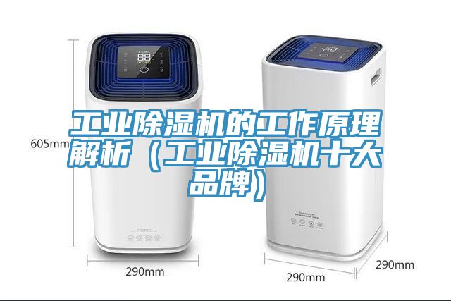 工業蘑菇视频网站的工作原理解析（工業蘑菇视频网站十大品牌）