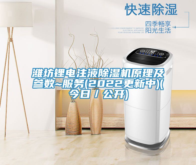 濰坊鋰電注液蘑菇视频网站原理及參數~服務(2022更新中)(今日／公開)