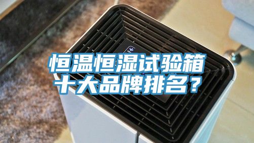 恒溫恒濕試驗箱十大品牌排名？