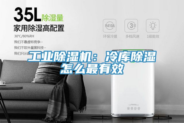 工業蘑菇视频网站：冷庫除濕怎麽最有效