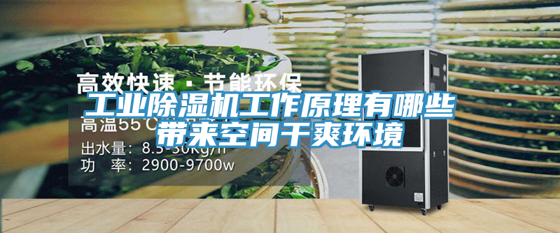 工業蘑菇视频网站工作原理有哪些 帶來空間幹爽環境