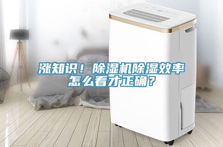 漲知識！蘑菇视频网站除濕效率怎麽看才正確？
