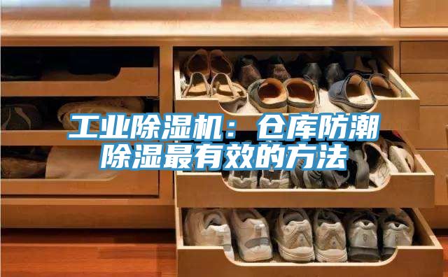 工業蘑菇视频网站：倉庫防潮除濕最有效的方法