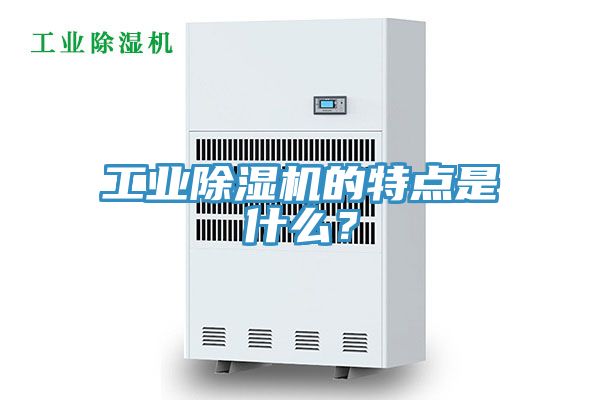 工業蘑菇视频网站的特點是什麽？