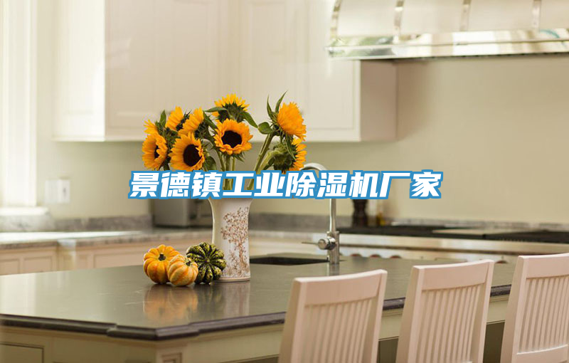 景德鎮工業蘑菇视频网站廠家