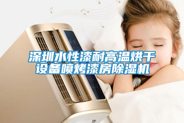 深圳水性漆耐高溫烘幹設備噴烤漆房蘑菇视频网站