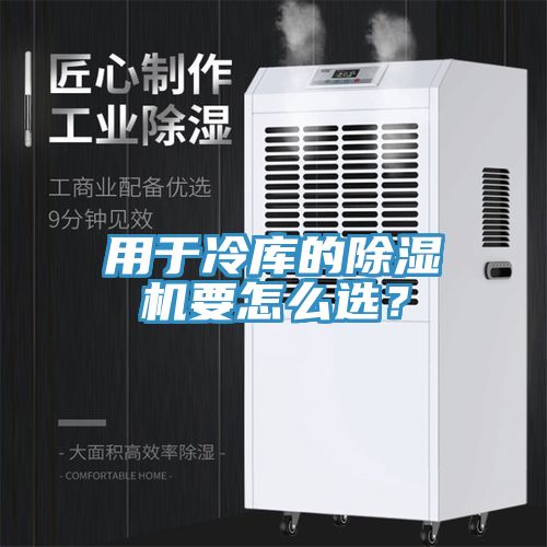 用於冷庫的蘑菇视频网站要怎麽選？