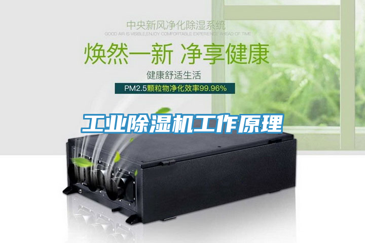 工業蘑菇视频网站工作原理