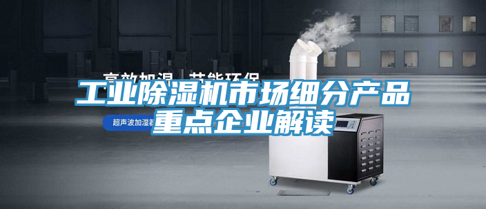 工業蘑菇视频网站市場細分產品重點企業解讀
