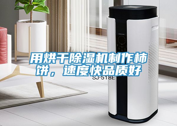 用烘幹蘑菇视频网站製作柿餅，速度快品質好