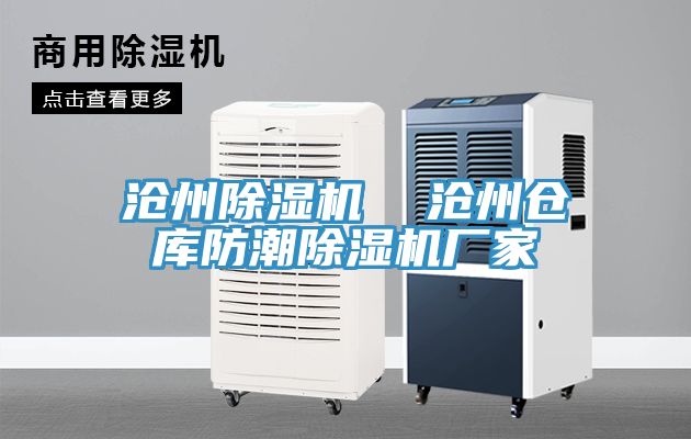 滄州蘑菇视频网站  滄州倉庫防潮蘑菇视频网站廠家