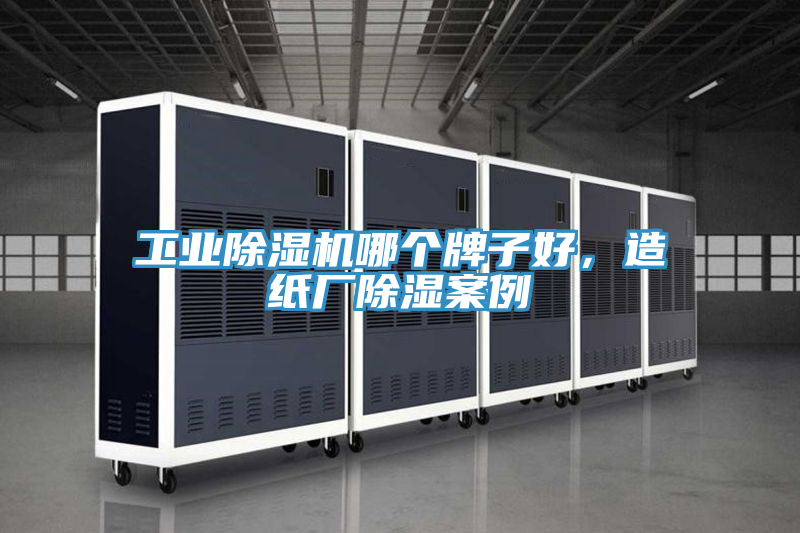工業蘑菇视频网站哪個牌子好，造紙廠除濕案例
