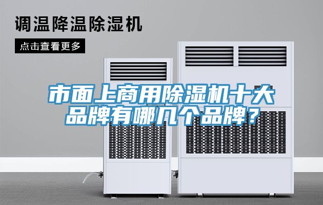 市麵上商用蘑菇视频网站十大品牌有哪幾個品牌？