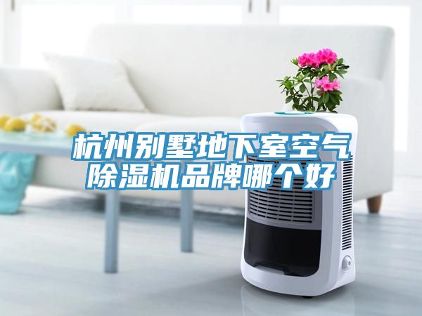 杭州別墅地下室空氣蘑菇视频网站品牌哪個好