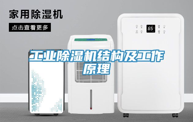 工業蘑菇视频网站結構及工作原理