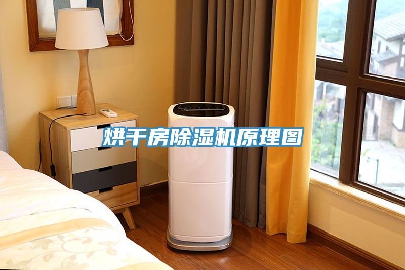 烘幹房蘑菇视频网站原理圖