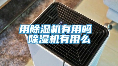 用蘑菇视频网站有用嗎 蘑菇视频网站有用麽