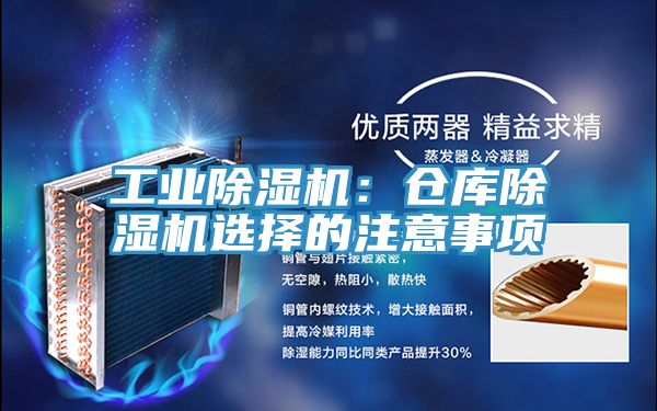工業蘑菇视频网站：倉庫蘑菇视频网站選擇的注意事項