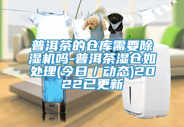 普洱茶的倉庫需要蘑菇视频网站嗎-普洱茶濕倉如處理(今日／動態)2022已更新