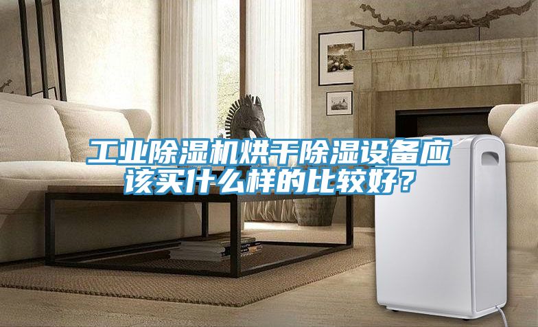 工業蘑菇视频网站烘幹除濕設備應該買什麽樣的比較好？