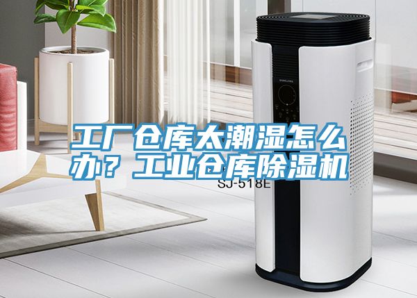 工廠倉庫太潮濕怎麽辦？工業倉庫蘑菇视频网站