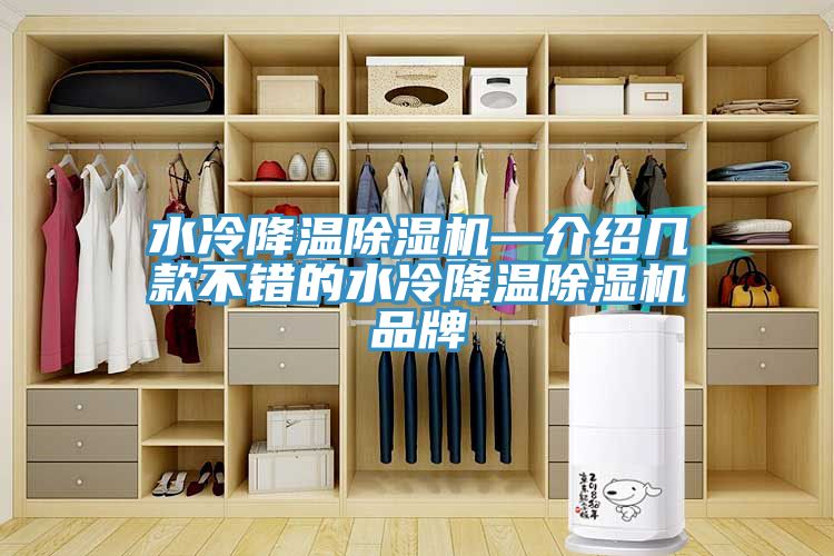 水冷降溫蘑菇视频网站—介紹幾款不錯的水冷降溫蘑菇视频网站品牌