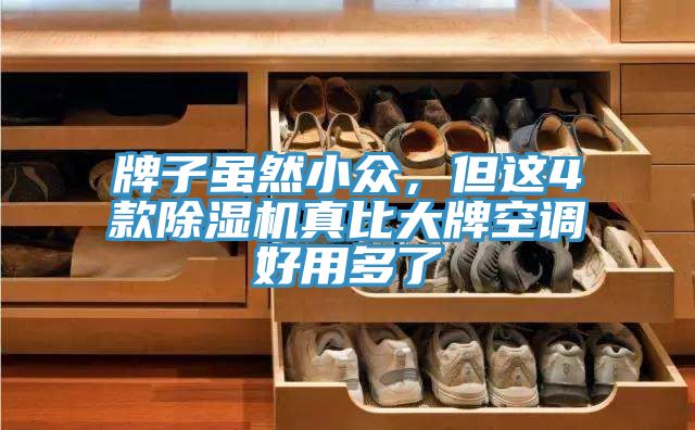 牌子雖然小眾，但這4款蘑菇视频网站真比大牌空調好用多了