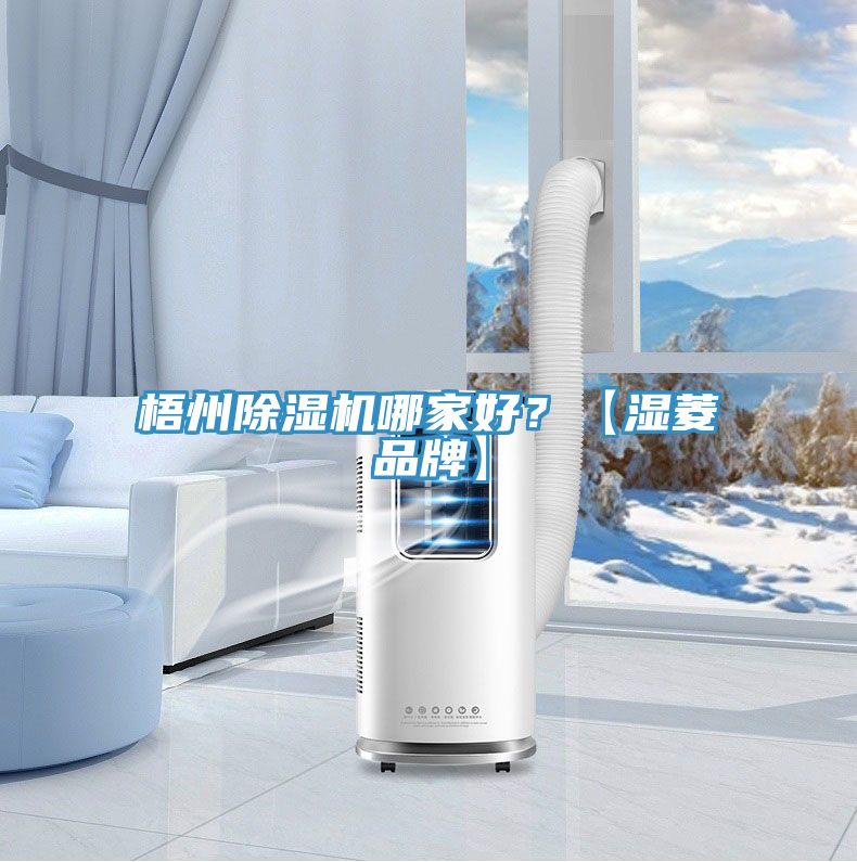梧州蘑菇视频网站哪家好？【濕菱品牌】