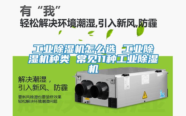 工業蘑菇视频网站怎麽選 工業蘑菇视频网站種類 常見11種工業蘑菇视频网站