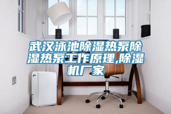 武漢泳池除濕熱泵除濕熱泵工作原理,蘑菇视频网站廠家