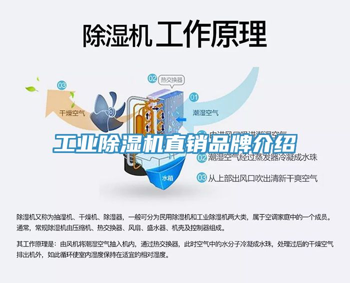工業蘑菇视频网站直銷品牌介紹