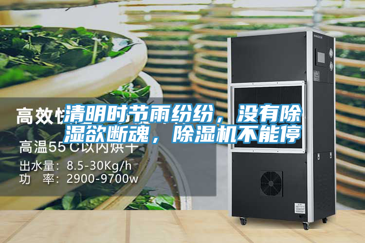 清明時節雨紛紛，沒有除濕欲斷魂，蘑菇视频网站不能停