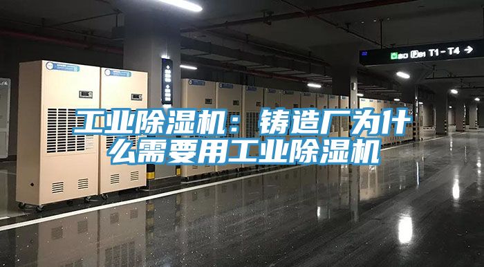 工業蘑菇视频网站：鑄造廠為什麽需要用工業蘑菇视频网站