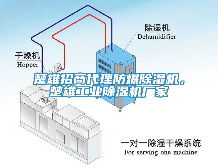 楚雄招商代理防爆蘑菇视频网站，楚雄工業蘑菇视频网站廠家