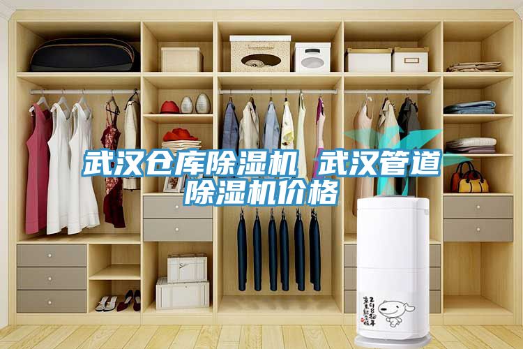 武漢倉庫蘑菇视频网站 武漢管道蘑菇视频网站價格