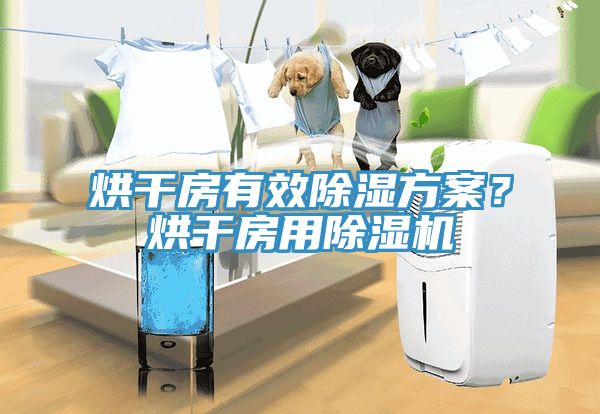 烘幹房有效除濕方案？烘幹房用蘑菇视频网站