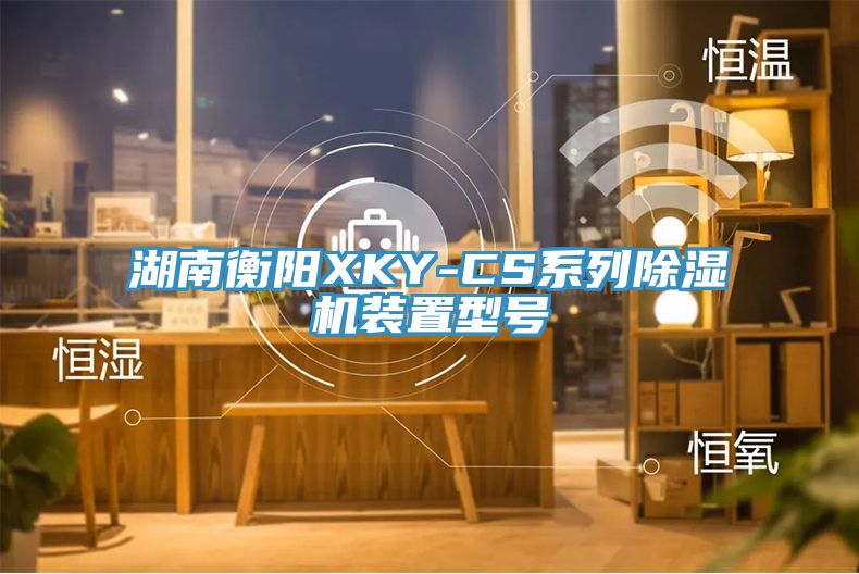 湖南衡陽XKY-CS係列蘑菇视频网站裝置型號