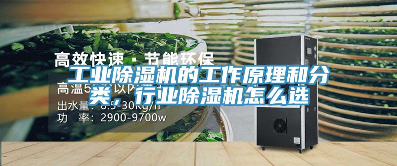 工業蘑菇视频网站的工作原理和分類，行業蘑菇视频网站怎麽選